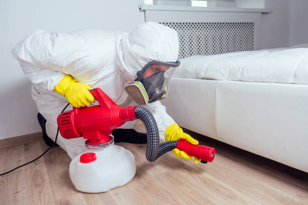 Best Exterminator Services  in North El Monte, CA