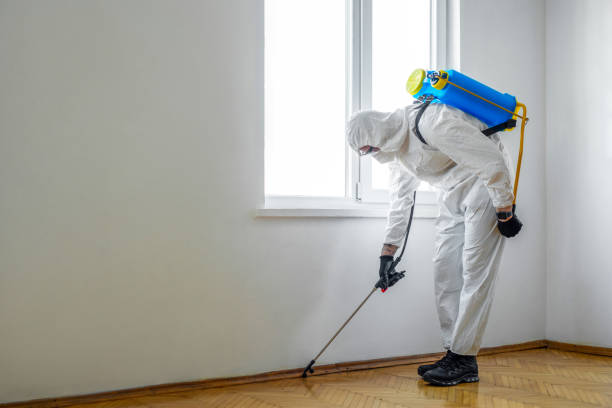 Best Best Pest Control Companies  in North El Monte, CA