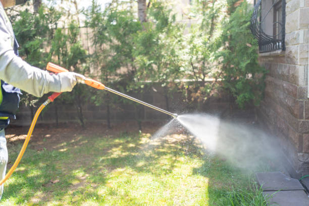 Best Cockroach Control Services  in North El Monte, CA