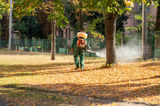 Best Rat Extermination Near Me  in North El Monte, CA