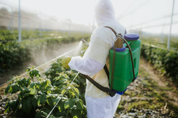 Best Commercial Pest Control Services  in North El Monte, CA